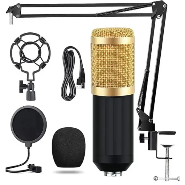 Professional BM800 Condenser Microphone